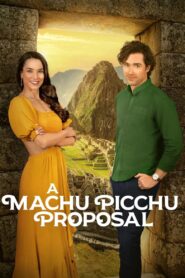 A Machu Picchu Proposal (2025)